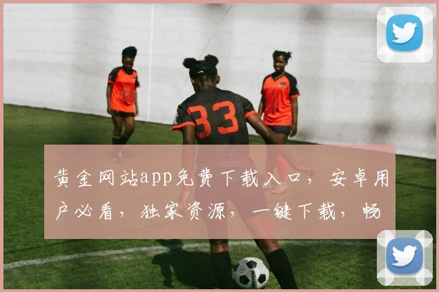 黄金网站app免费下载入口，安卓用户必看，独家资源，一键下载，畅享娱乐
